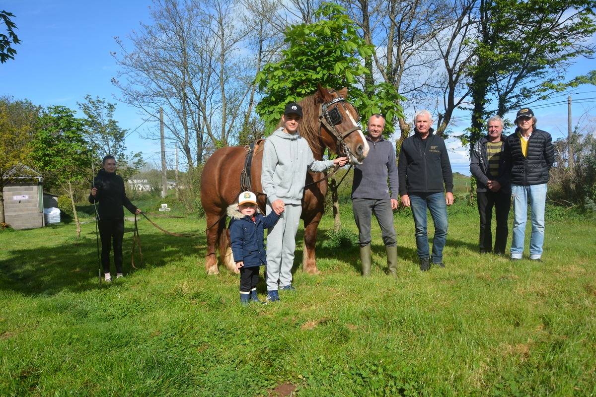 Des personnes avec un trait breton - Illustration Des chevaux sous  le capot pour la fête
